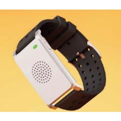 Heat Stroke Monitoring Wearable Device