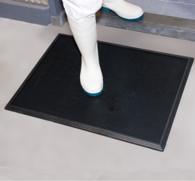 Shoe Sanitizing Floor Mat UAE